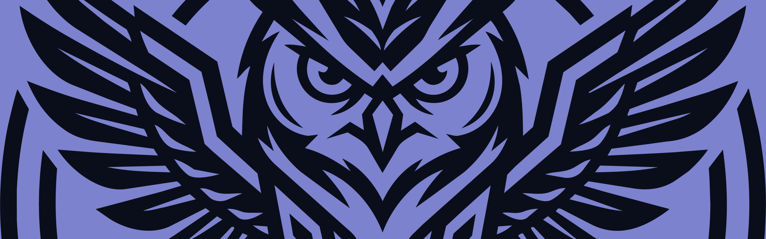 OWL Vault banner